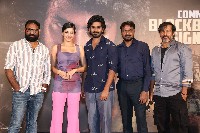 Peddha Kapu1 Movie Success Meet
